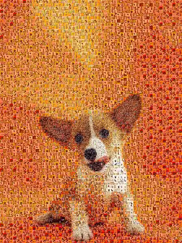 Photo mosaic example: a corgi made of dog photos