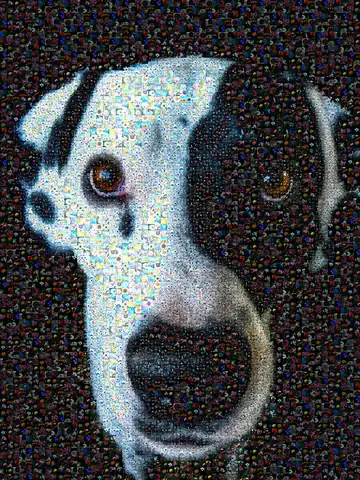 Photo mosaic example: a dalmatian made of flower photos