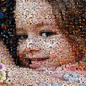 Das Gesicht des Mädchens aus der Nähe: Jede Kachel ist ein eigenes Blumenfoto