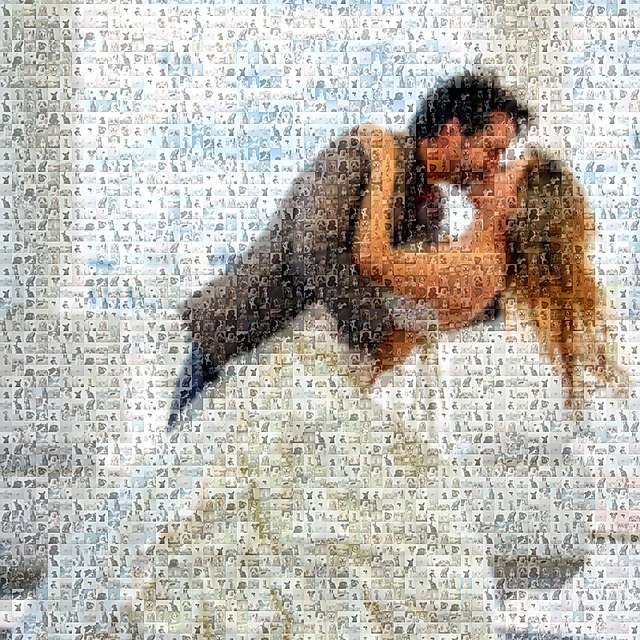 Standard photo mosaic example